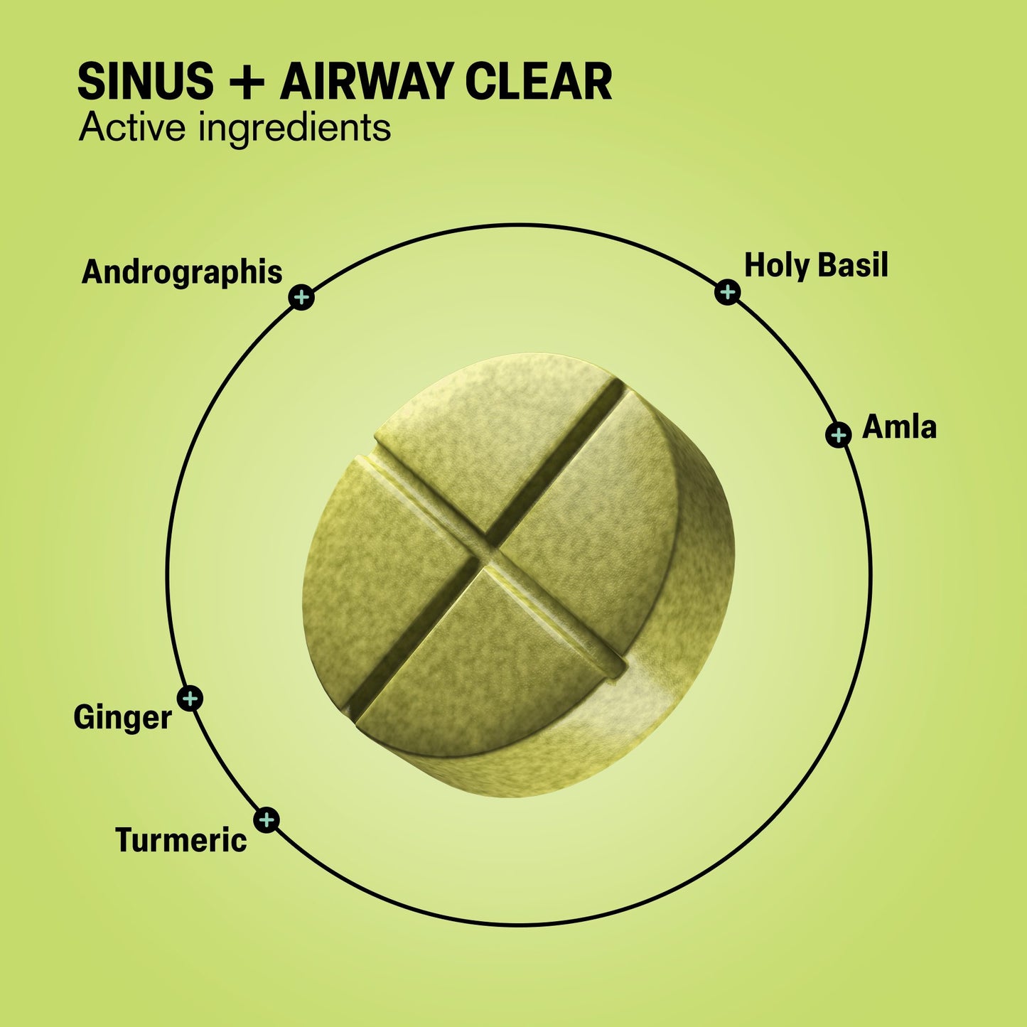 500mg Sinus + Airway Clear Tablets - Lemon Eucalyptus - Mood Tablets
