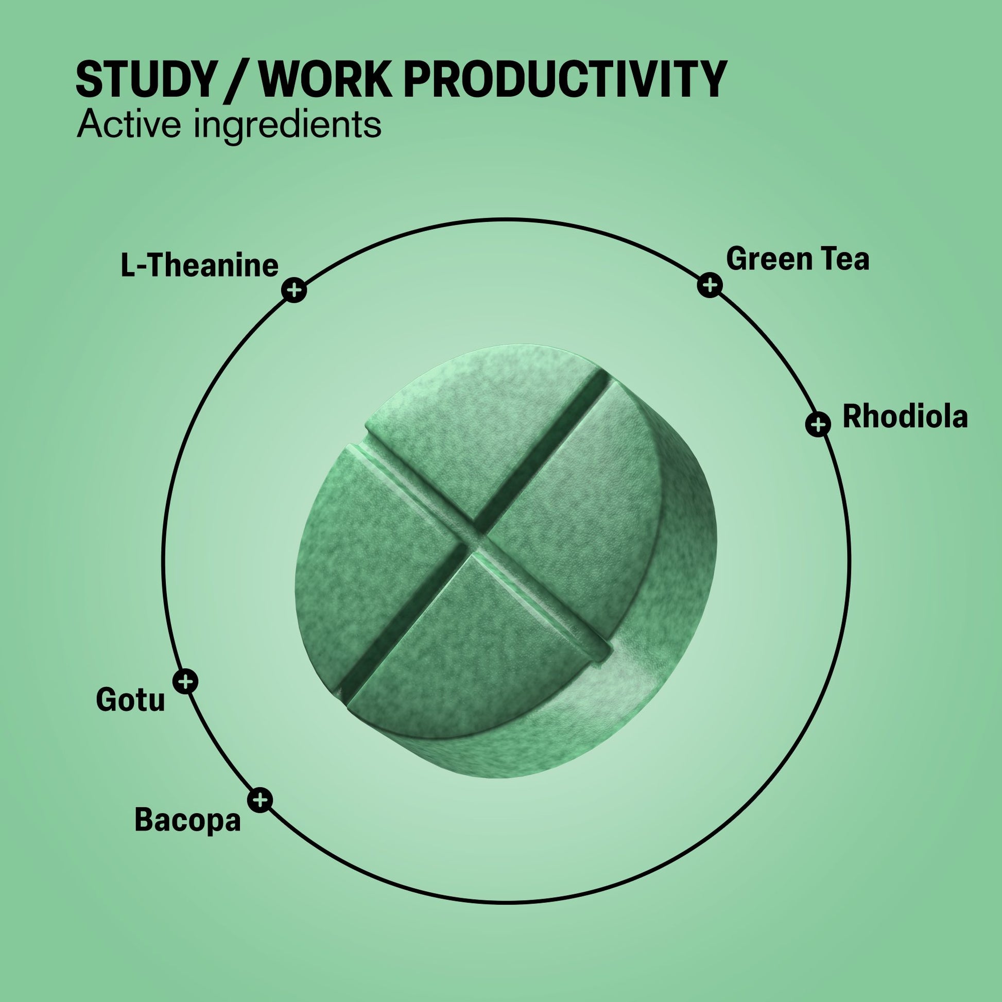 500mg Study Work Productivity Tablets - Lime Mint - Mood Tablets