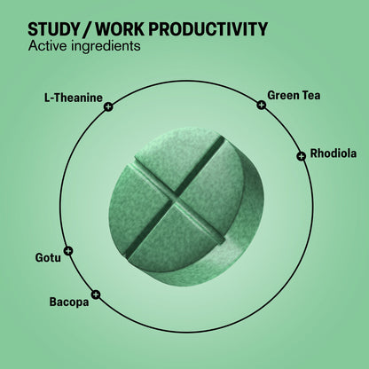 500mg Study Work Productivity Tablets - Lime Mint - Mood Tablets