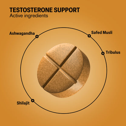 500mg Testosterone Support Tablets - Spiced Cola - Mood Tablets