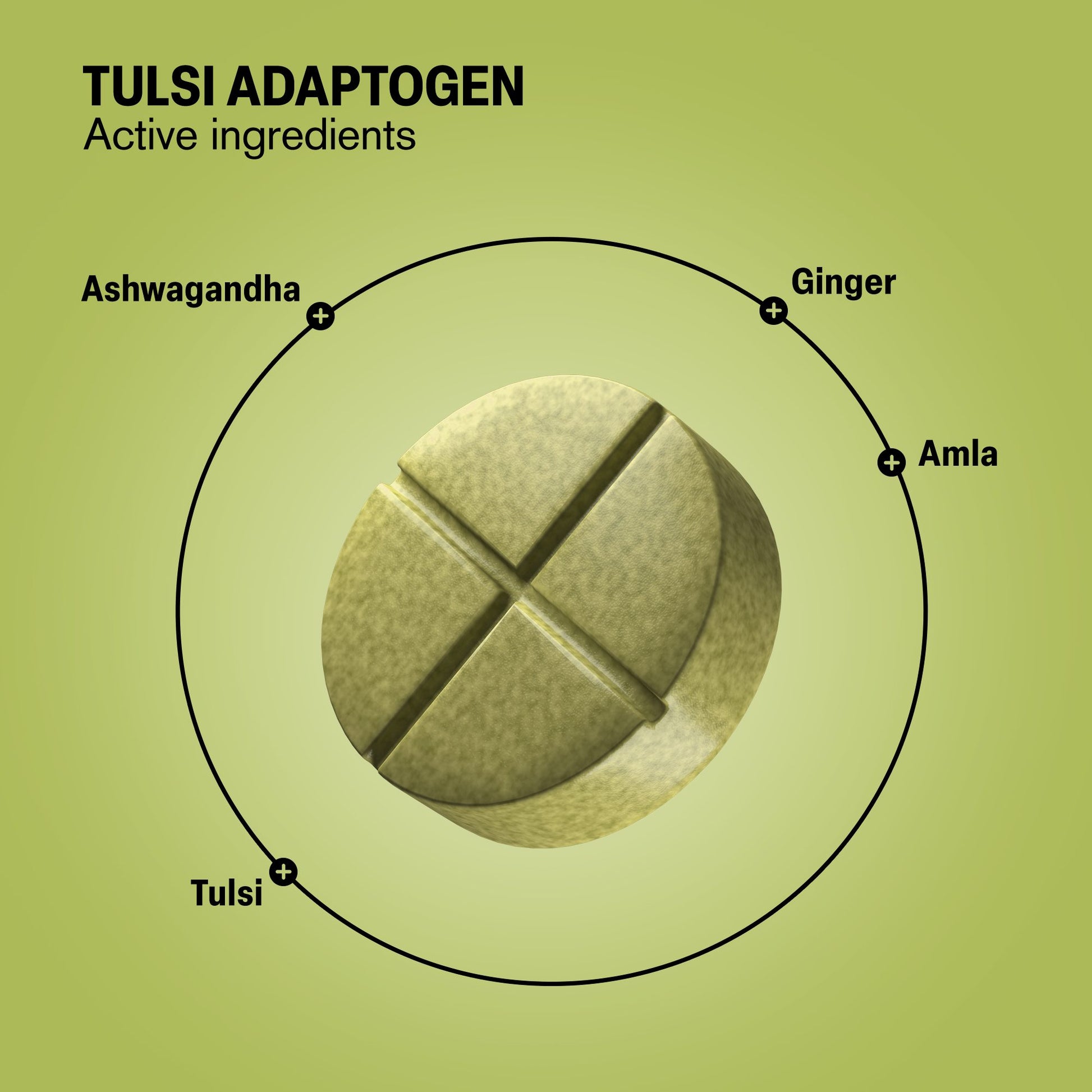 500mg Tulsi Immune Adaptogen Tablets - Tulsi Lemon - Mood Tablets