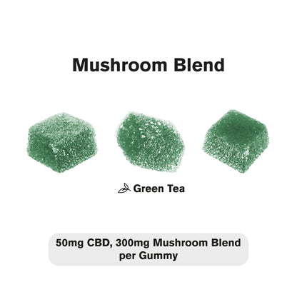 50mg Broad Spectrum CBD & Mushroom Blend Gummies - Chill