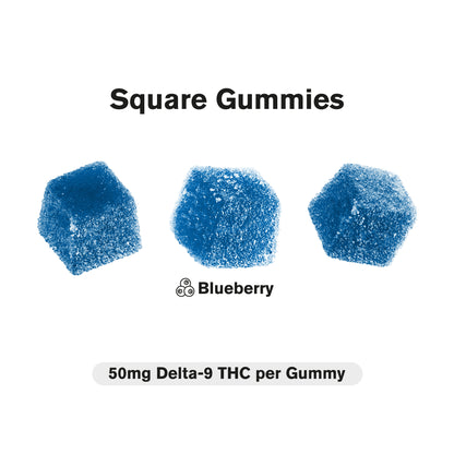 50mg Delta 9 Gummies - Blueberry - Chill Plus