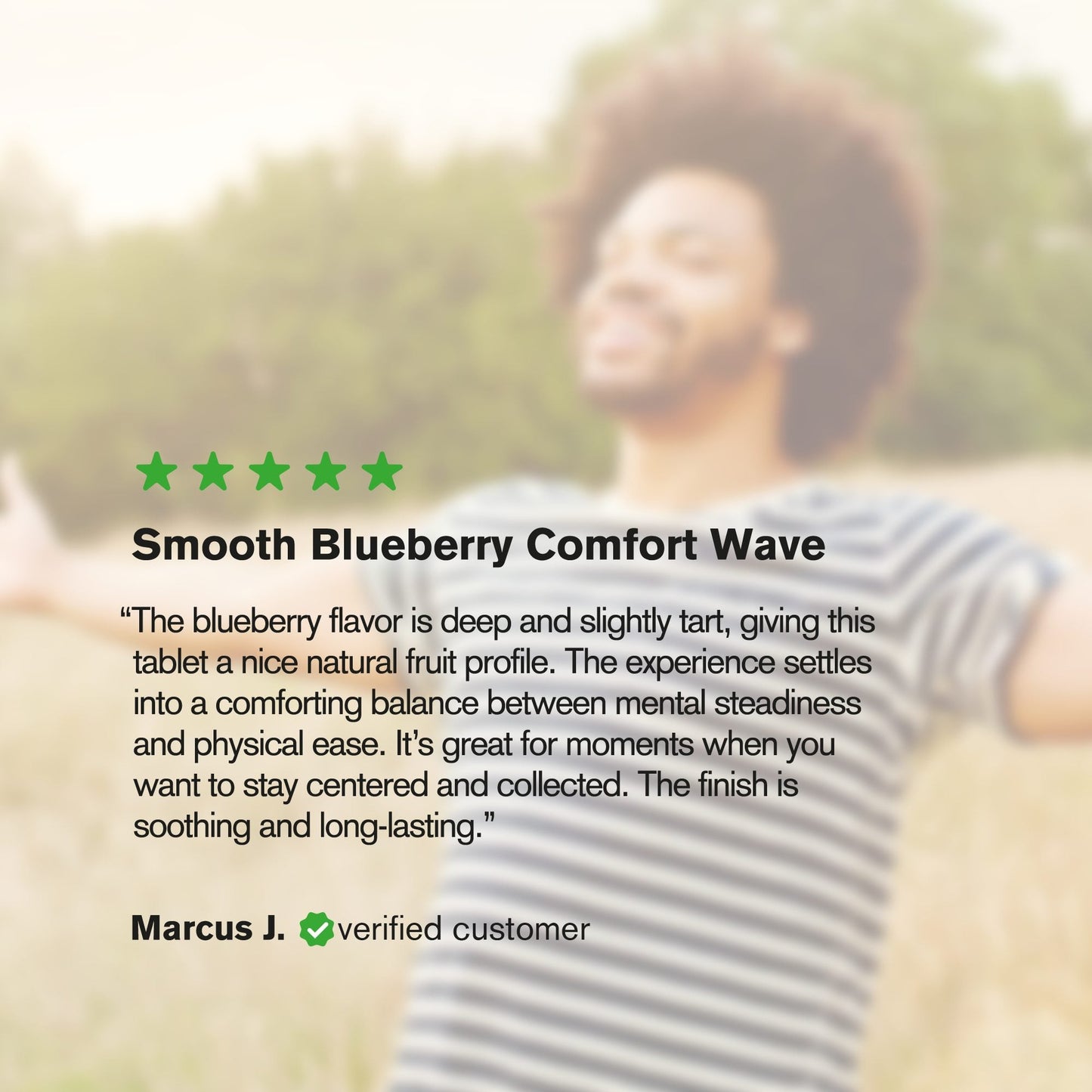 50mg Kratom Nano Tablets - Blueberry - Chill Plus