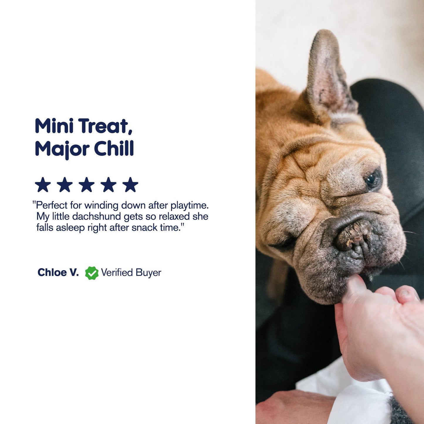 600mg CBD Pet Treats For Dogs - Mini Hot Dogs - MediPets