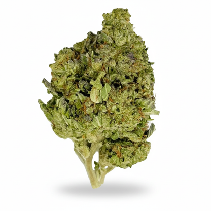 Limoncello Runtz Flower – Sativa – THCA