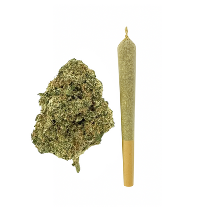 1.5g Fiji Mint King Size Pre-Roll - THCA - Chill Plus