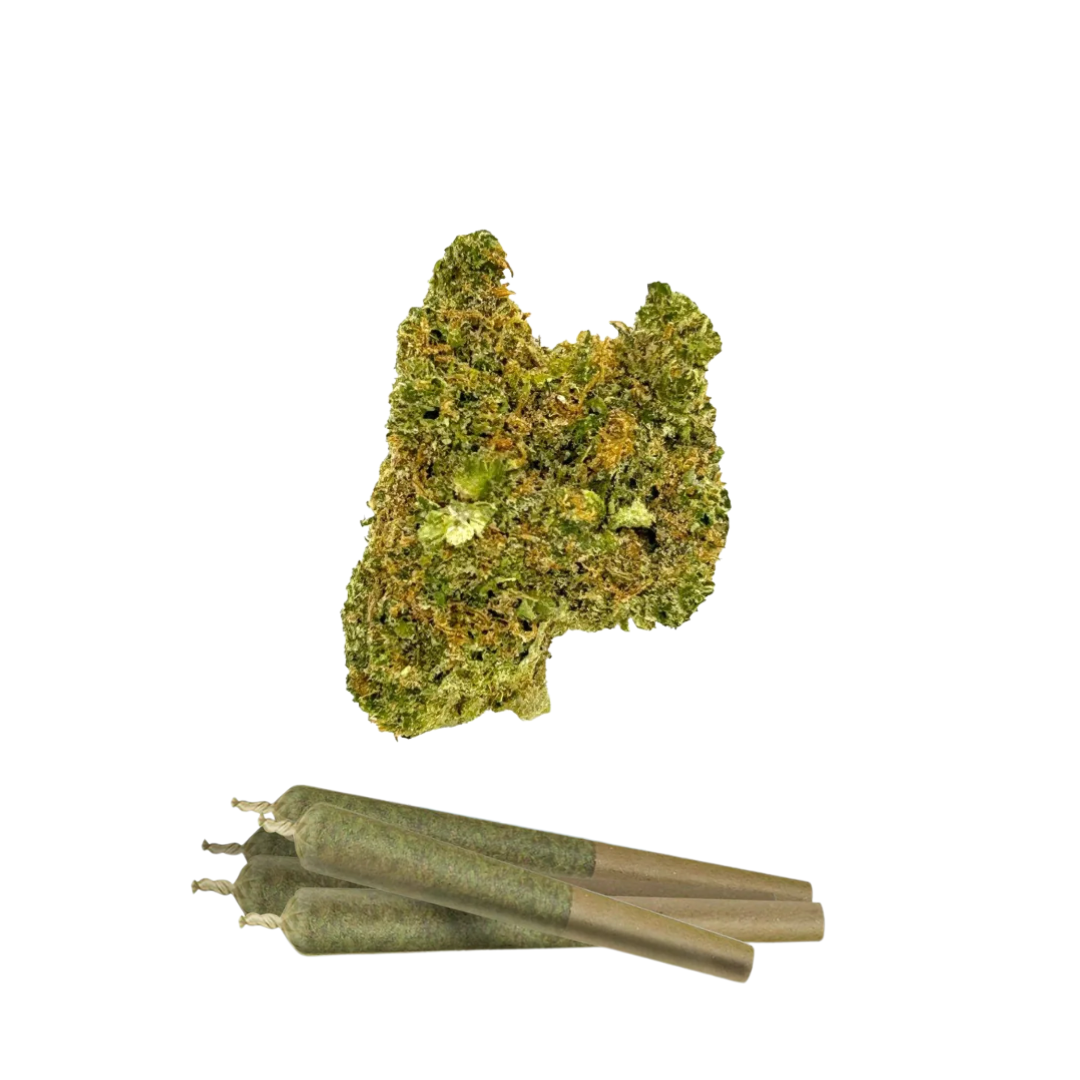 0.5g Tangelo Mini Pre-Rolls - THCA - Chill Plus - 5 Joints
