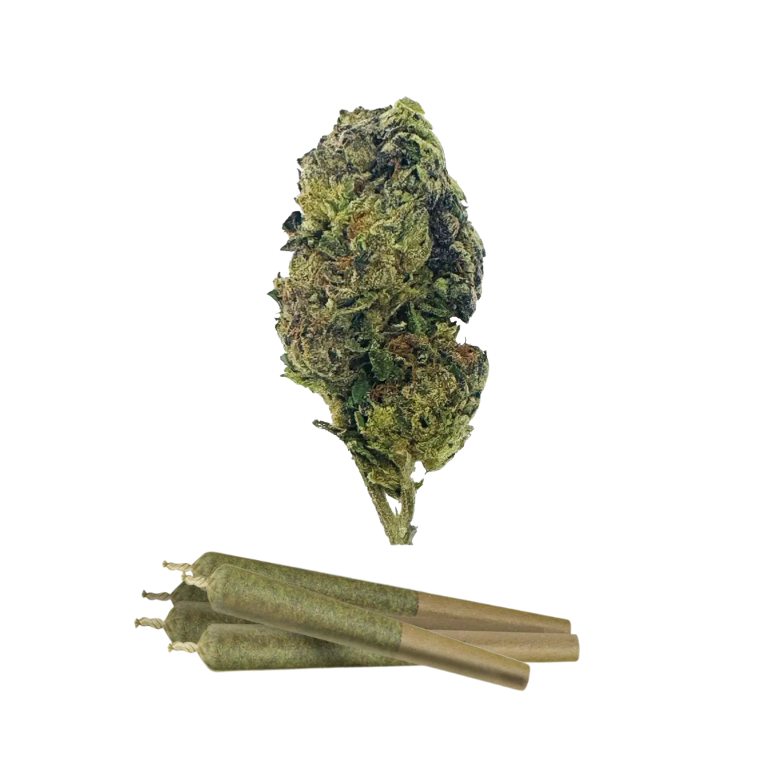0.5g Silver Haze Mini Pre-Rolls - THCA - Chill Plus - 5 Joints