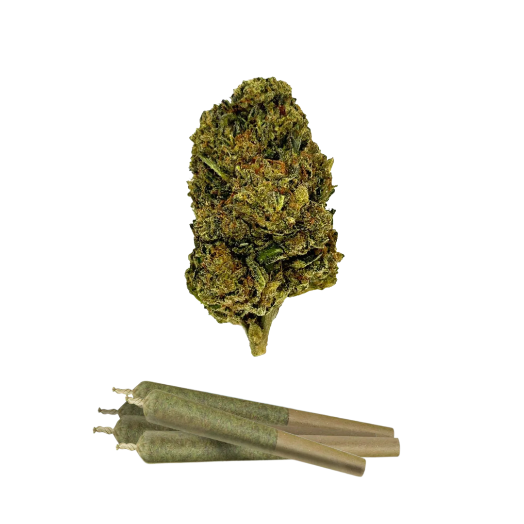 0.5g Oreoz Mini Pre-Rolls - THCA - Chill Plus - 5 Joints