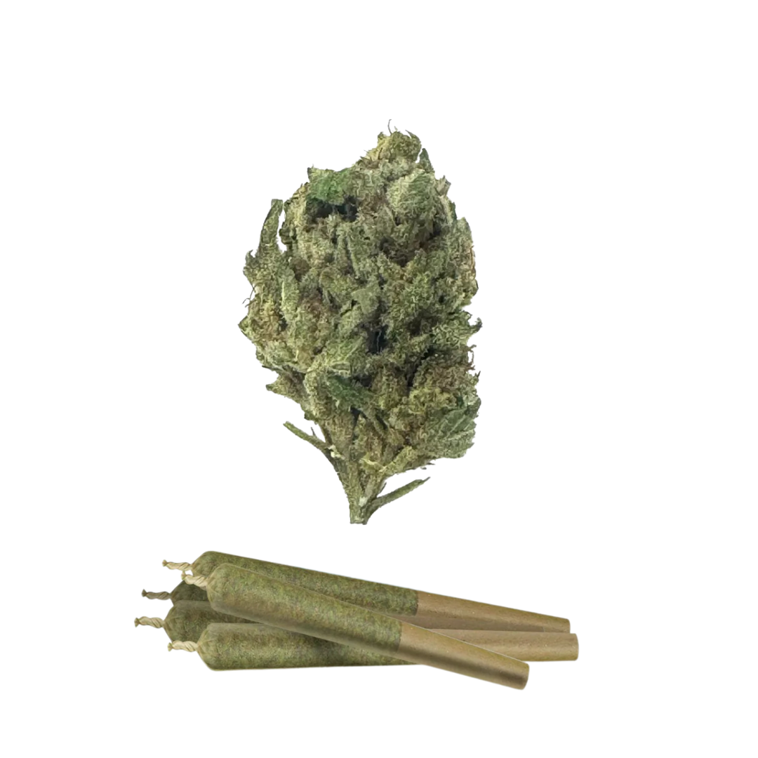 0.5g Jelly Cake Mini Pre-Rolls - THCA - Chill Plus - 5 Joints