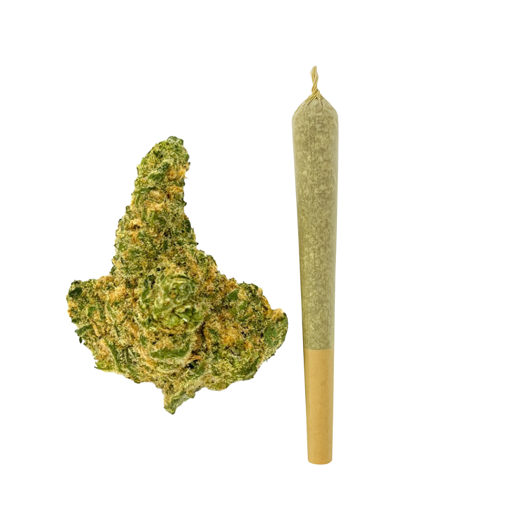 1.5g Hammerhead King Size Pre-Roll - THCA - Chill Plus - 1 Joint