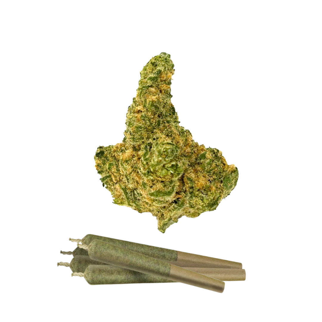 0.5g Hammerhead Mini Pre-Rolls - THCA - Chill Plus - 5 Joints