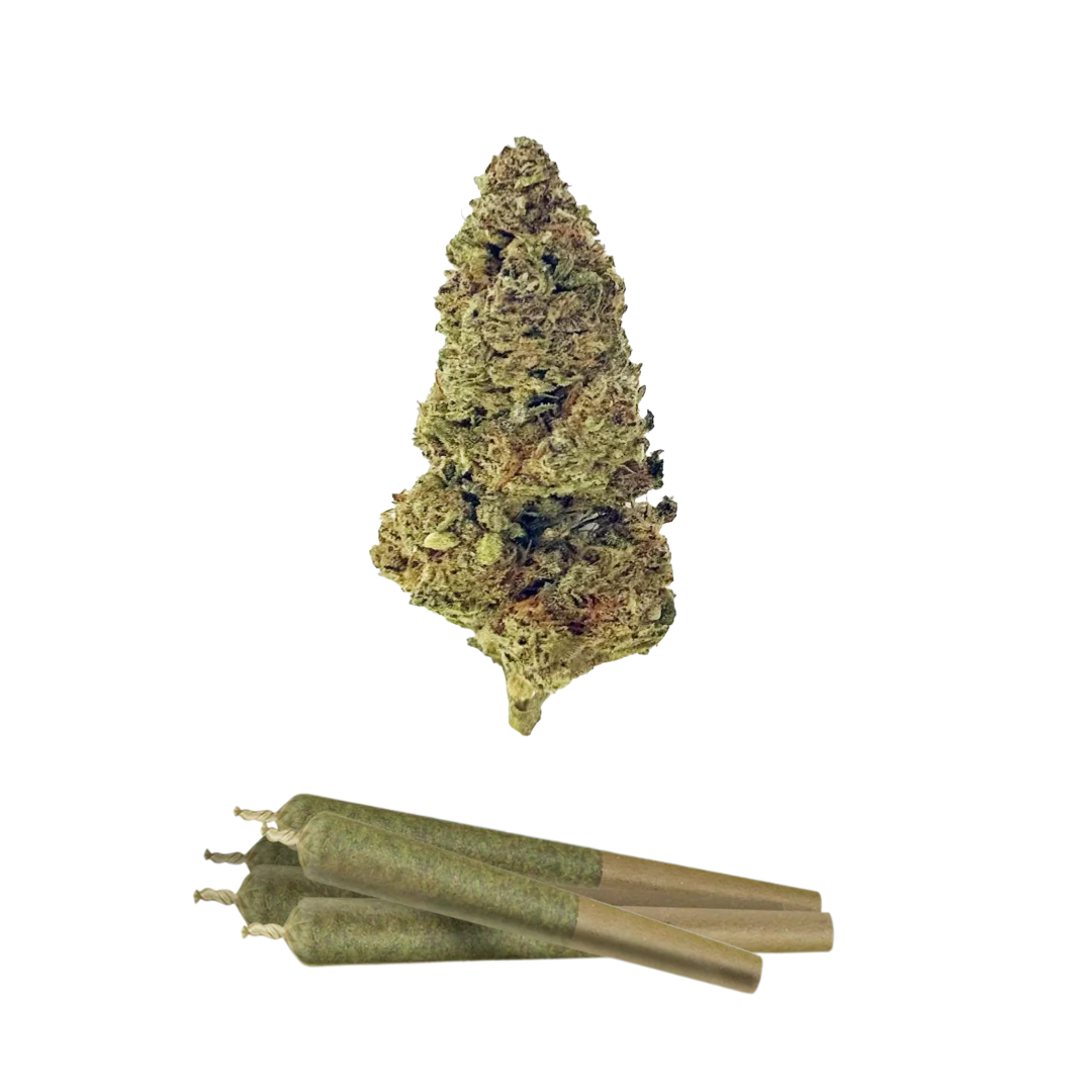 0.5g Glitter Bomb Mini Pre-Rolls - THCA - Chill Plus - 5 Joints