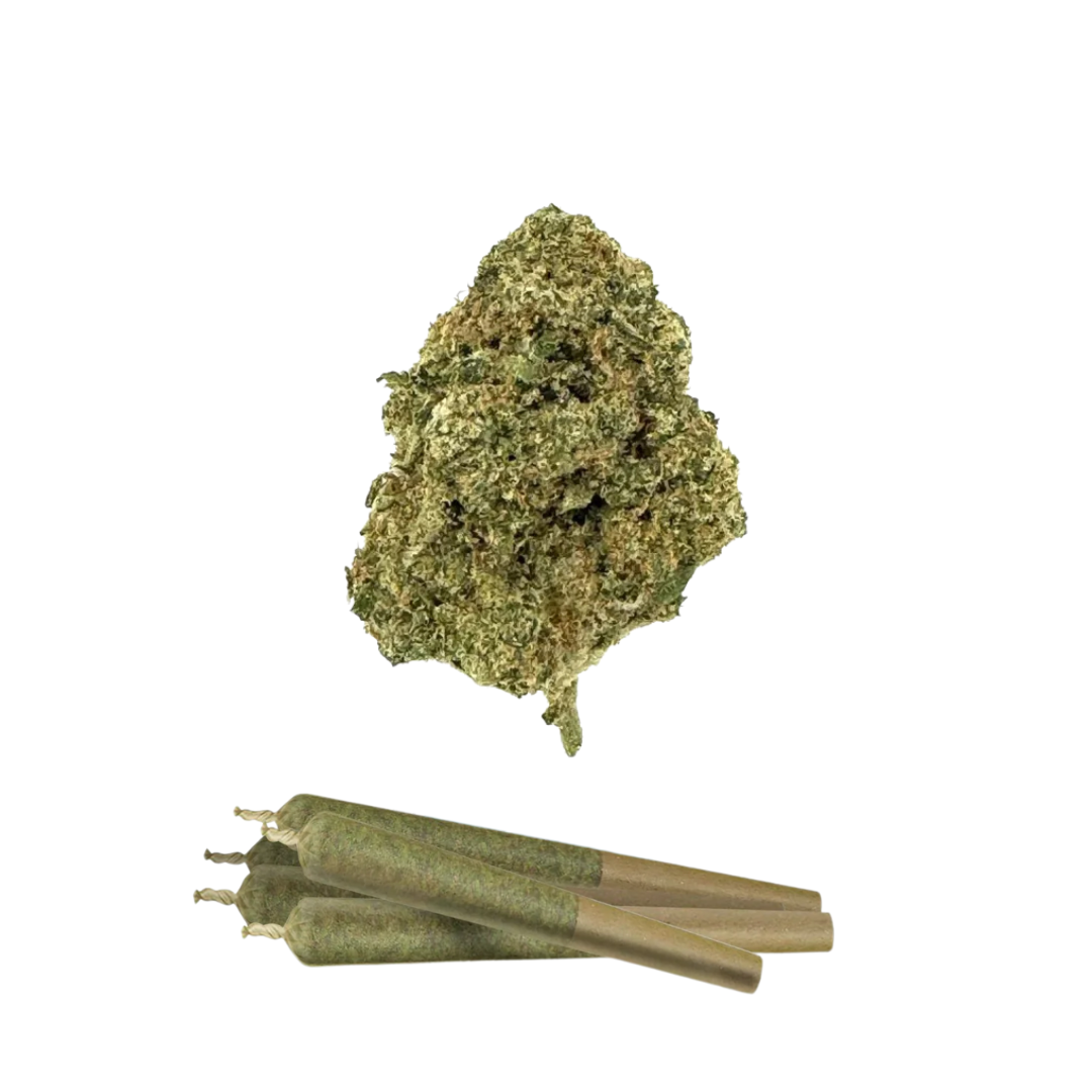 0.5g Fiji Mint Mini Pre-Rolls - THCA - Chill Plus - 5 Joints