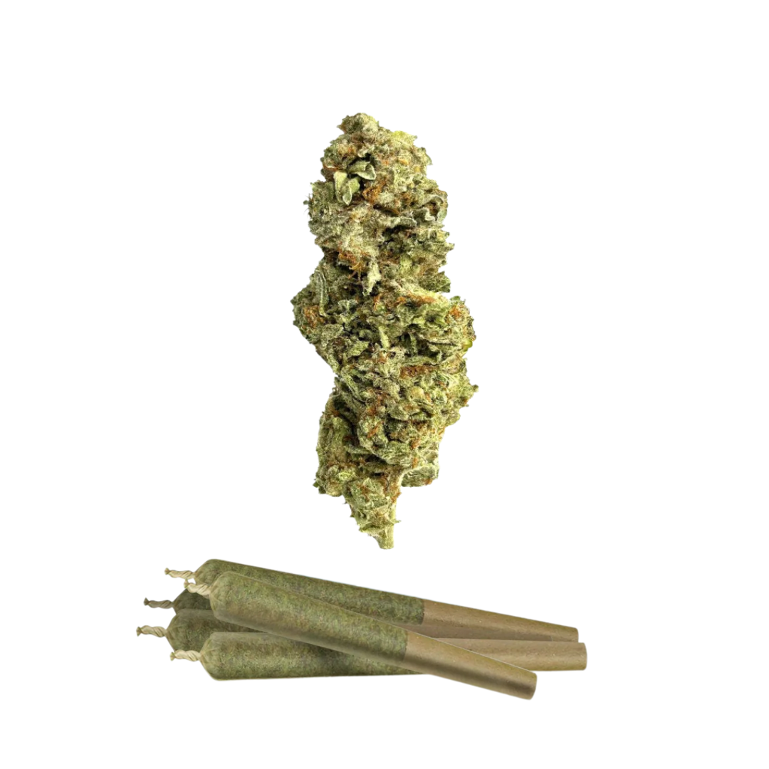 0.5g Dante's Inferno  Mini Pre-Rolls - THCA - Chill Plus - 5 Joints