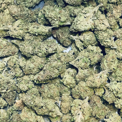 Alien Cookies Flower – Hybrid – THCA