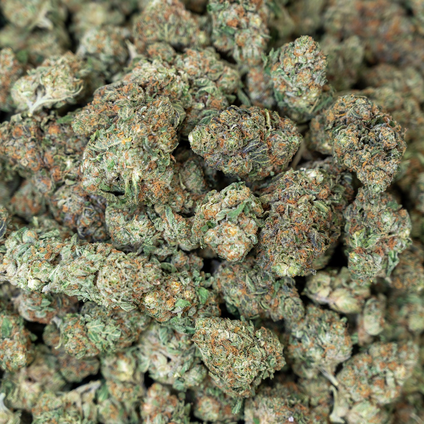 Apple Fritter Flower – Hybrid – THCA