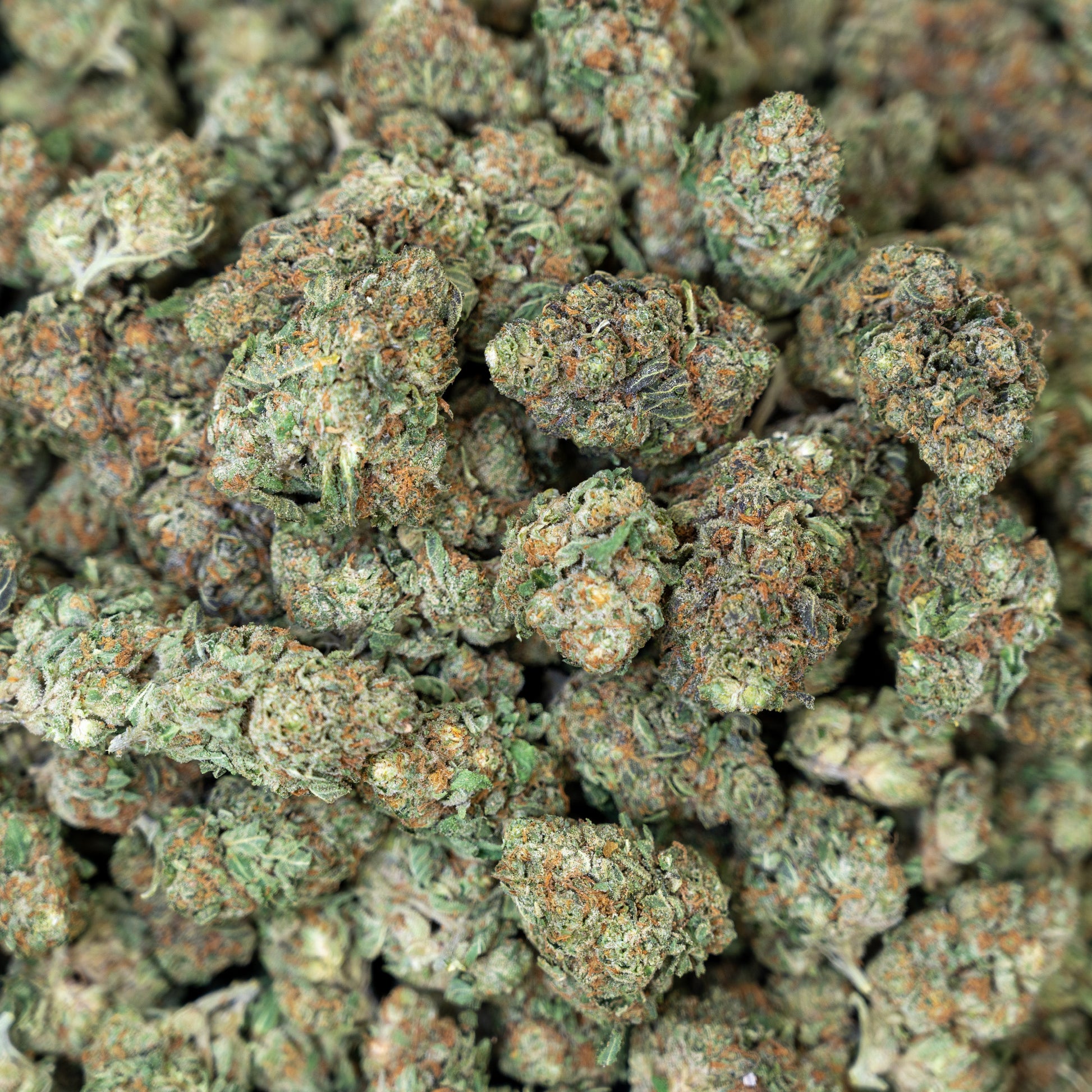 Apple Fritter Flower – Hybrid – THCA