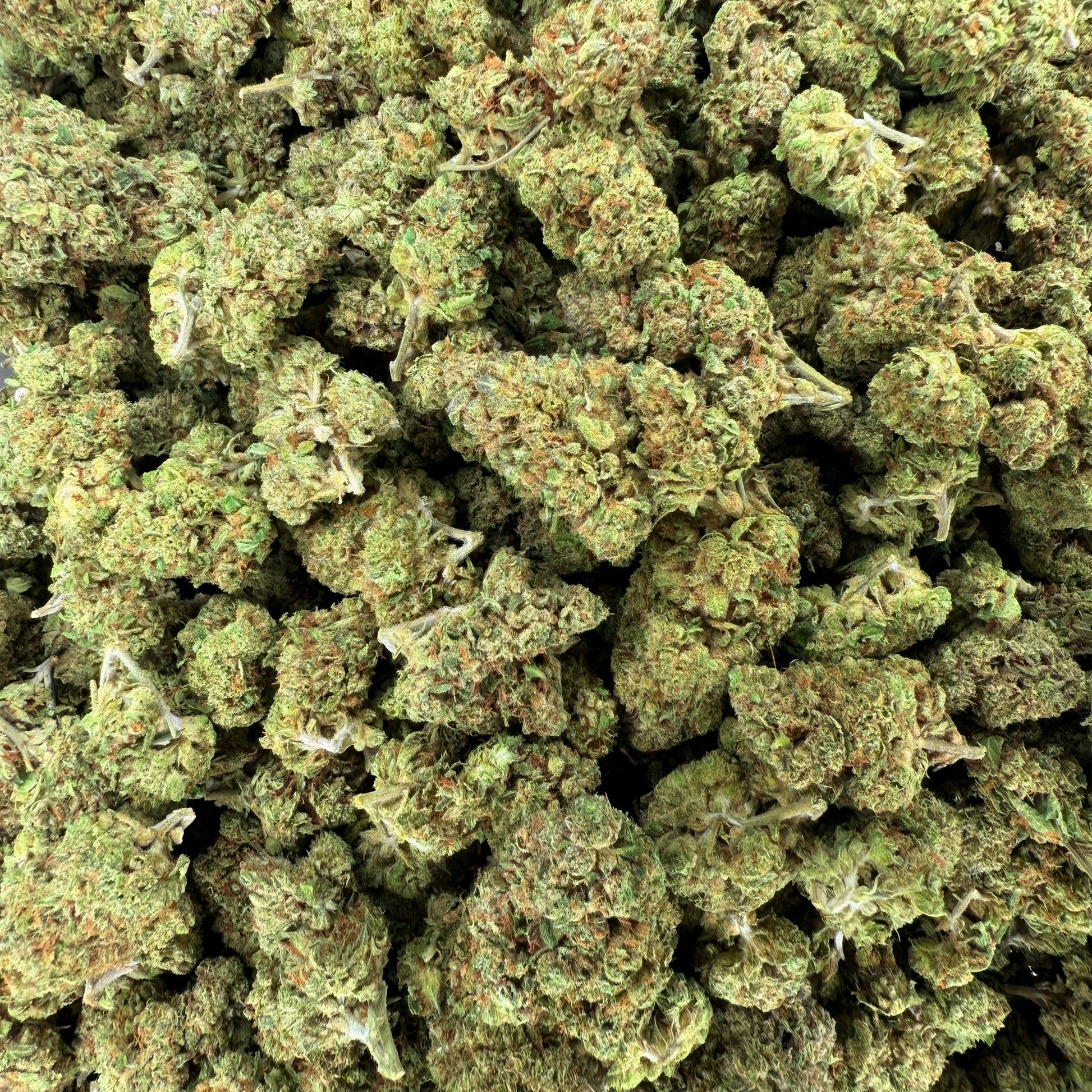Area 41 Flower - Hybrid - THCA