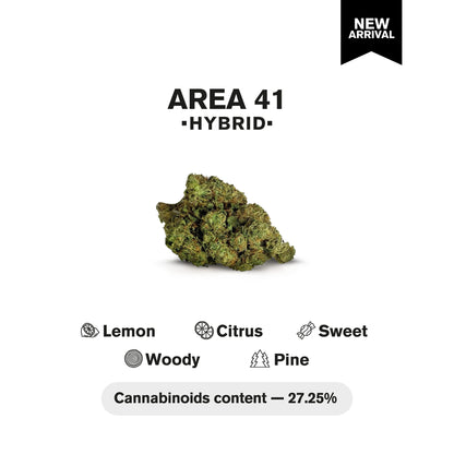 Area 41 Flower - Hybrid - THCA