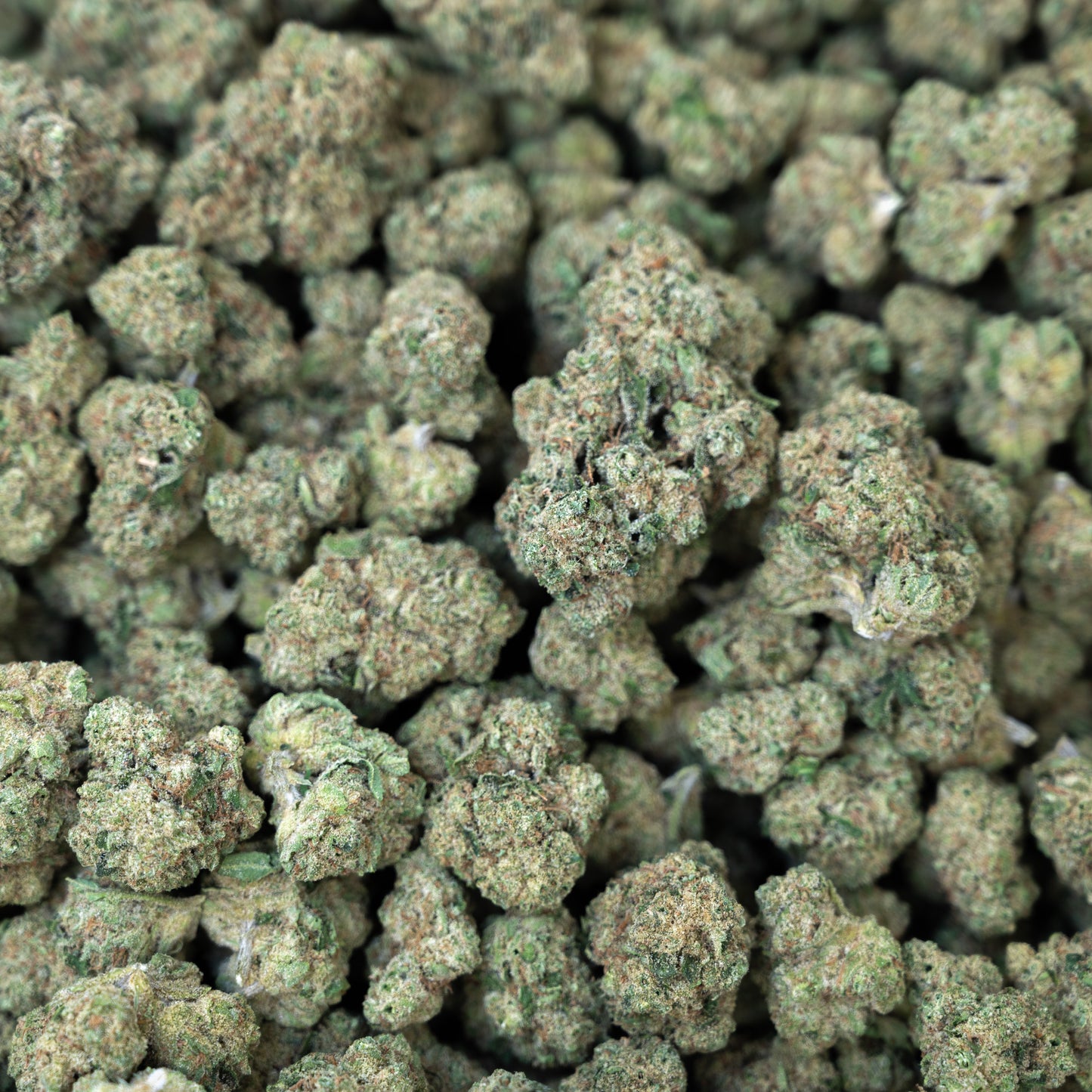 Banana Flower - Hybrid - THCA