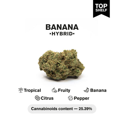 Banana Flower - Hybrid - THCA