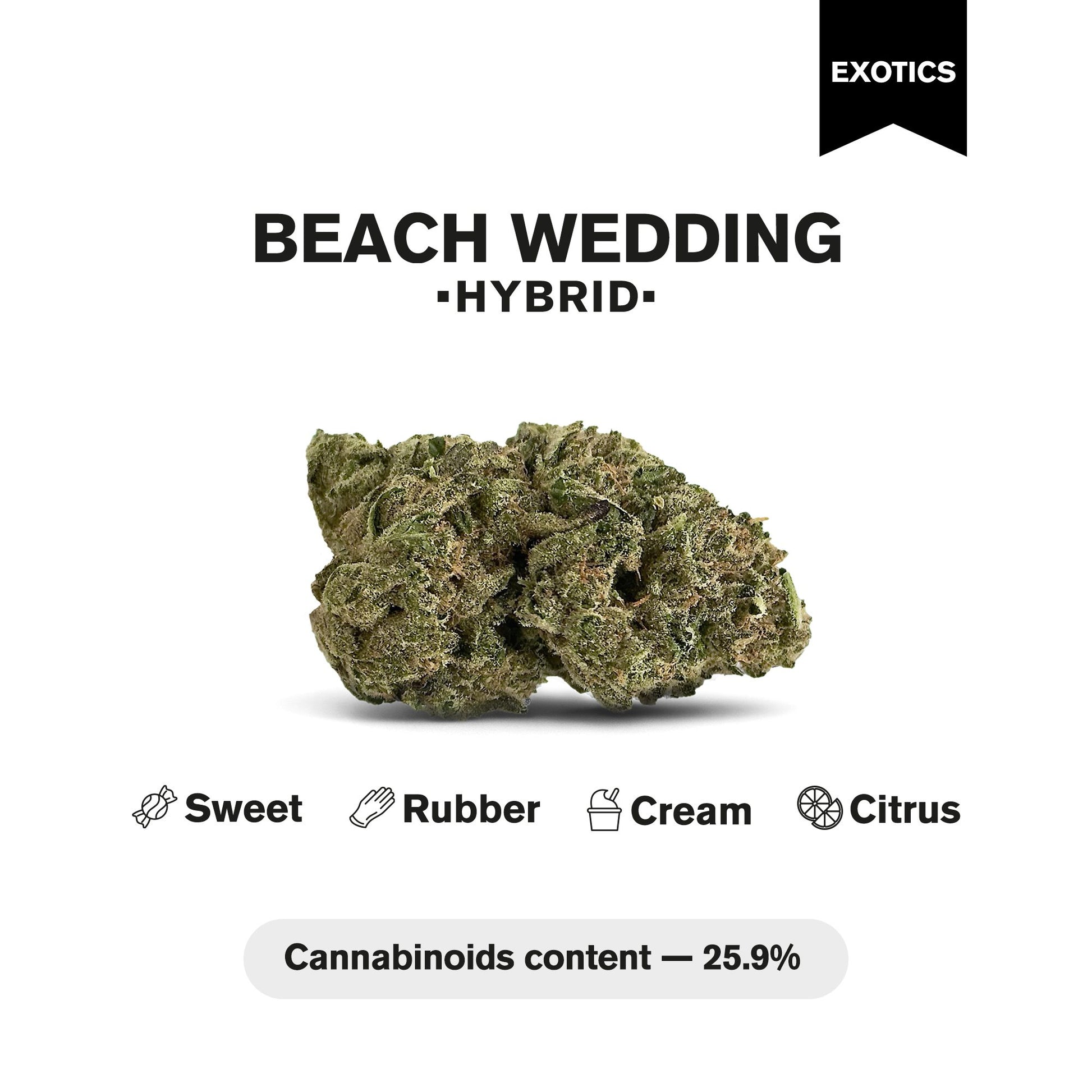Beach Wedding Flower – Hybrid – THCA