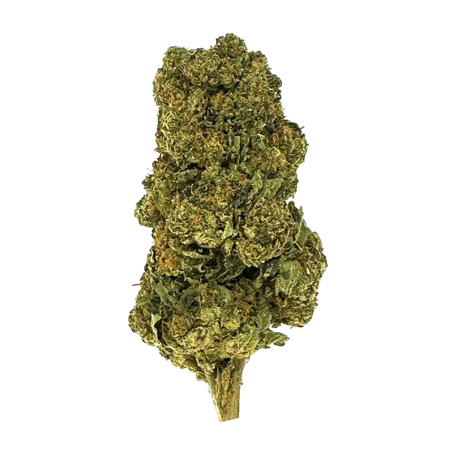 Black Cherry Gelato Flower - Indica - THCA