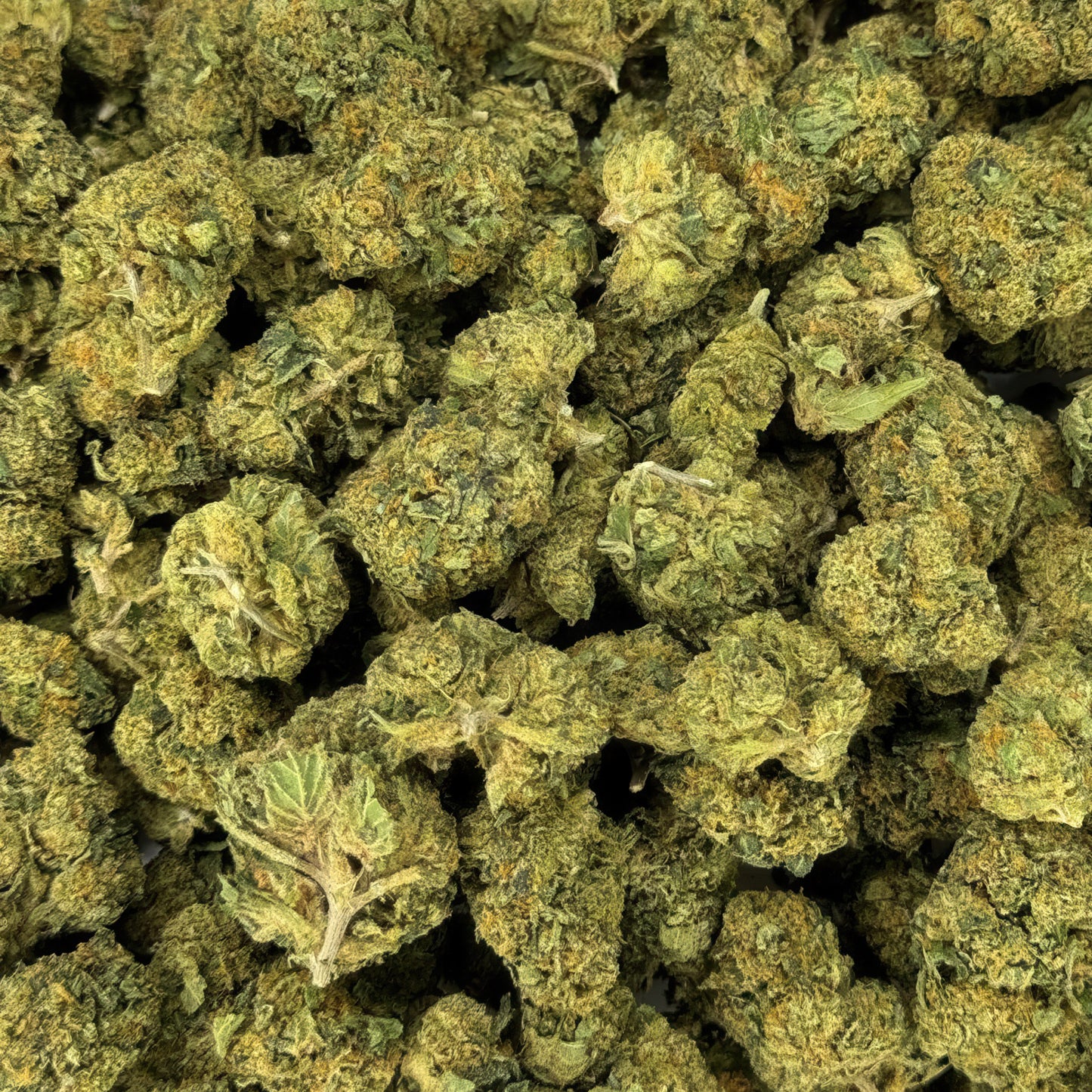 Black Cherry Gelato Flower - Indica - THCA