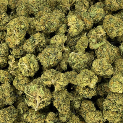 Black Cherry Gelato Flower - Indica - THCA