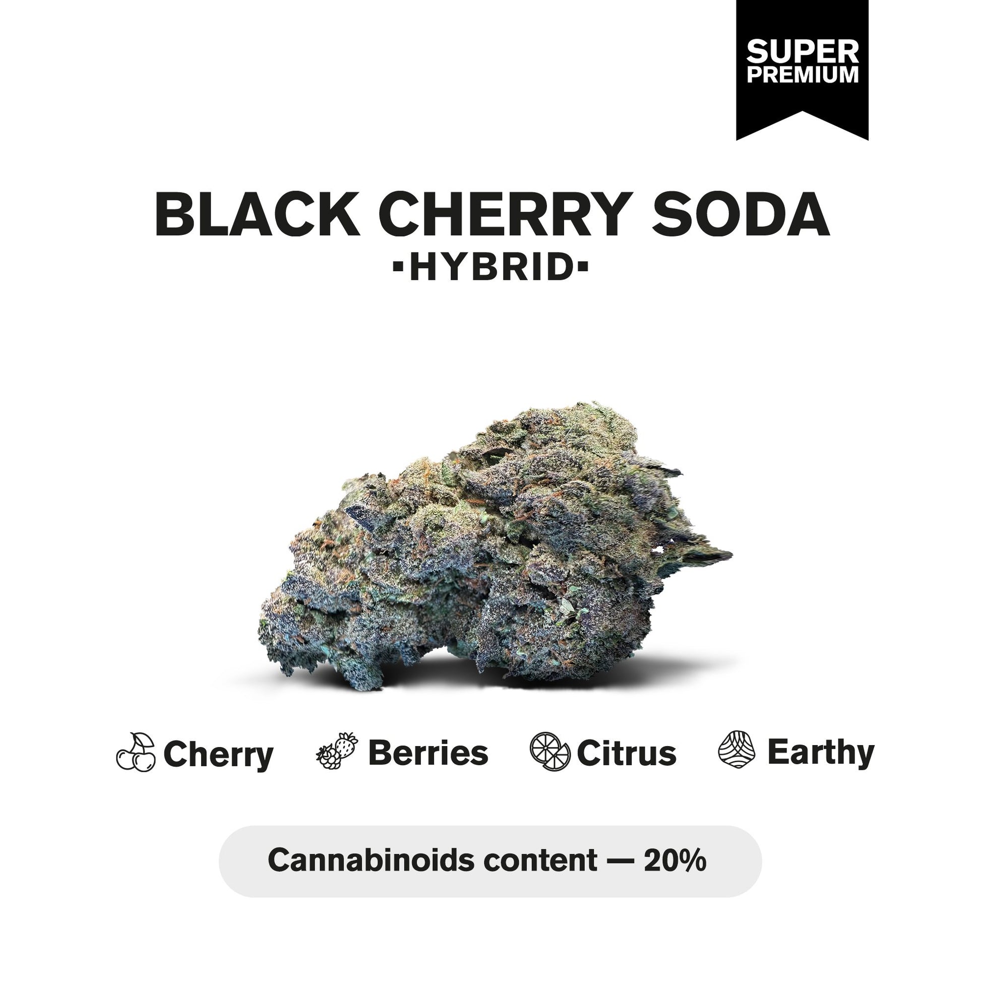 Black Cherry Soda Flower - Hybrid - THCA