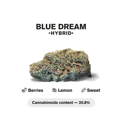 Blue Dream Flower – Hybrid – THCA
