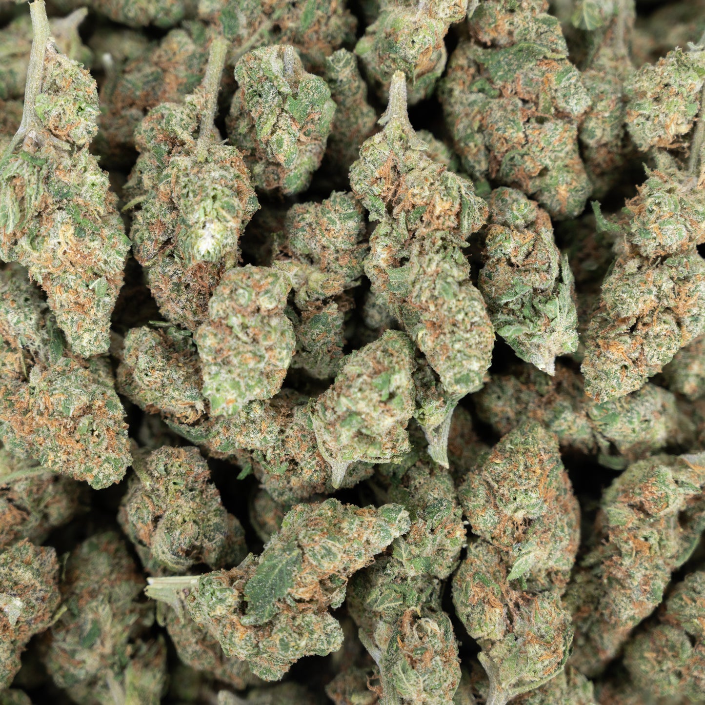 Blue Satellite Flower - Sativa - THCA
