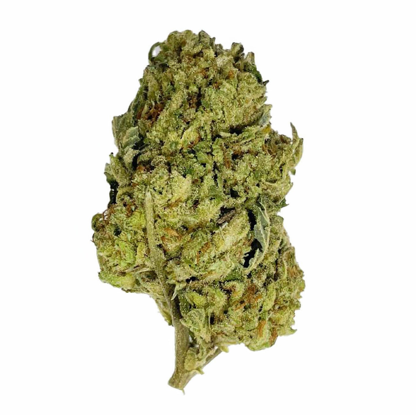 Blue Zlushie Flower – Hybrid – THCA
