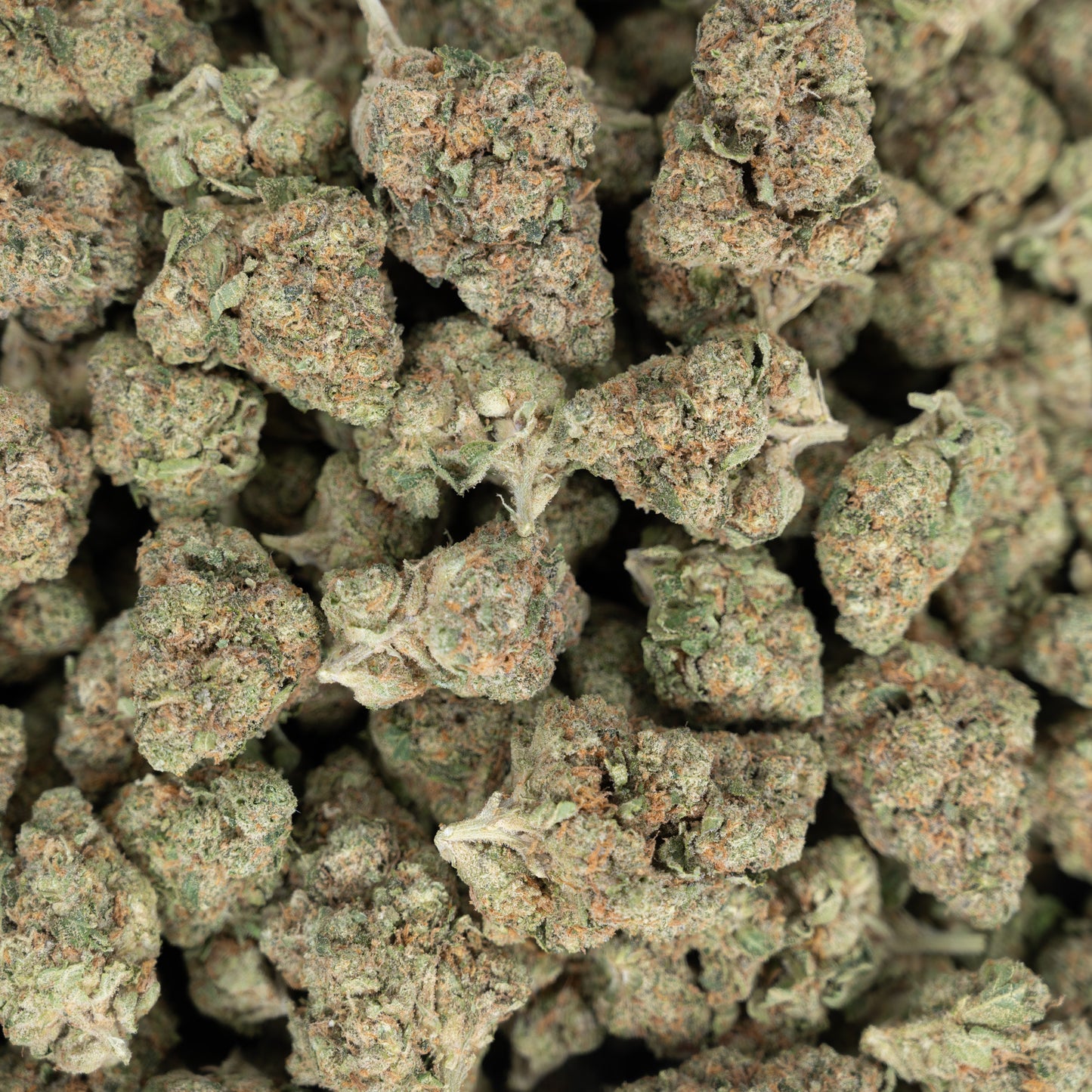 Bubble Bath Flower – Hybrid – THCA