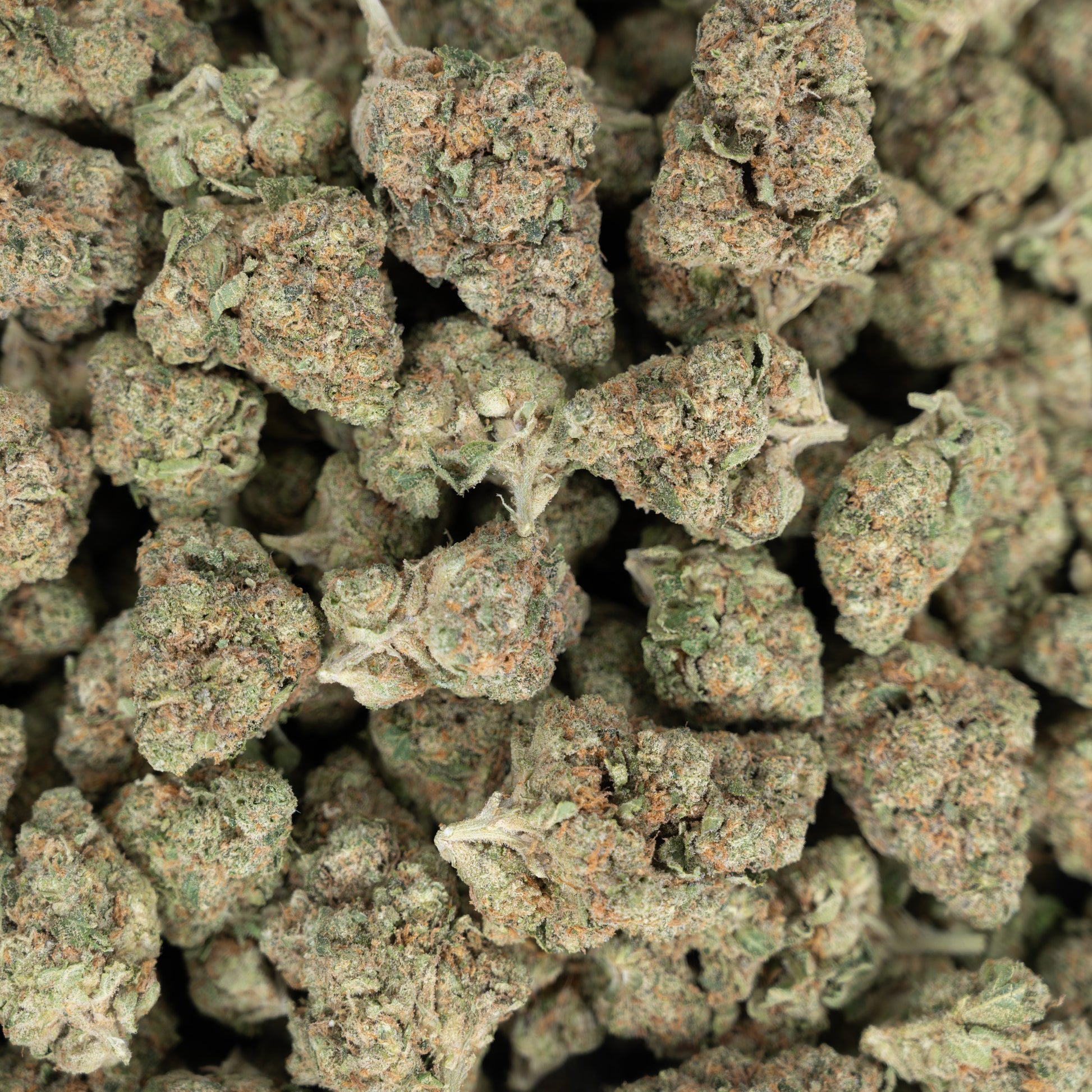 Bubble Bath Flower – Hybrid – THCA