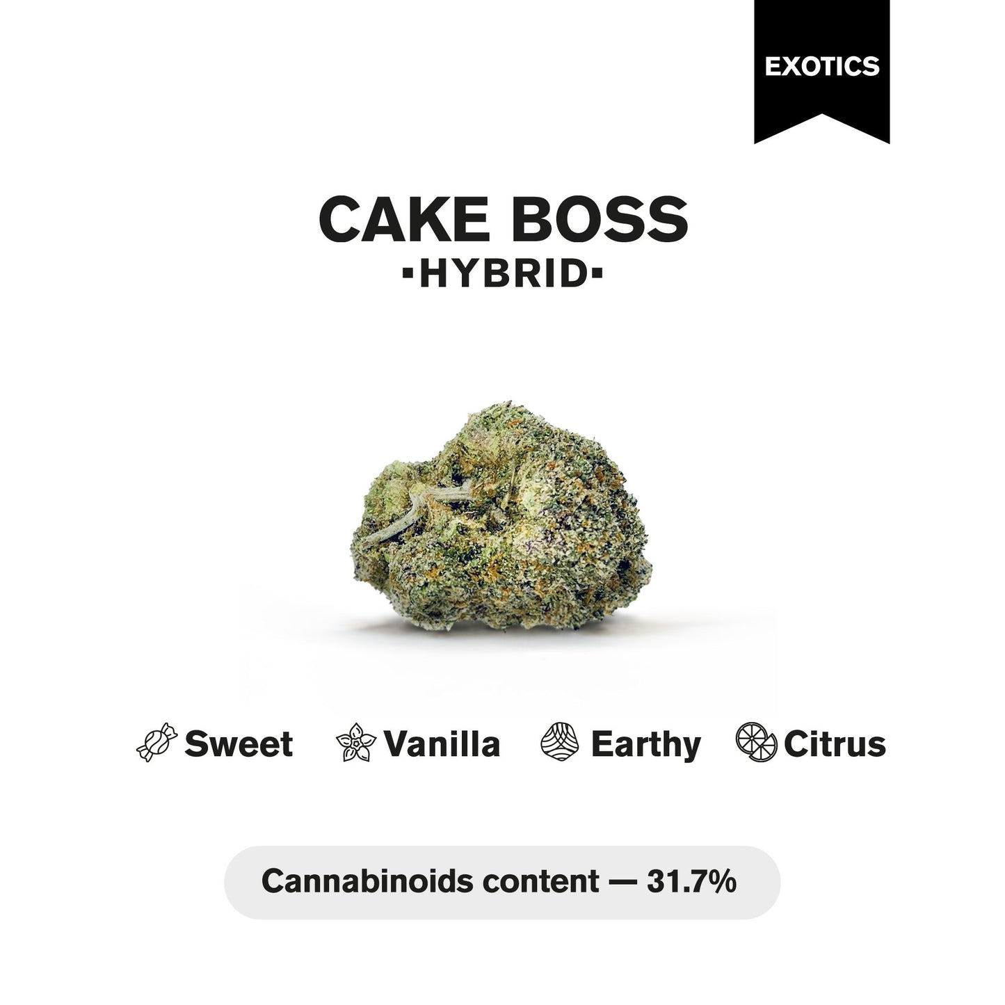 Cake Boss Flower - Hybrid - THCA