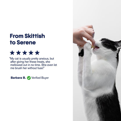 Cat Cafe Tartar Control - CBD Pet Treats For Cats - 600mg - MediPets