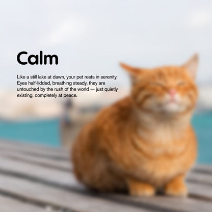 Cat Cafe Tartar Control - CBD Pet Treats For Cats - 600mg - MediPets