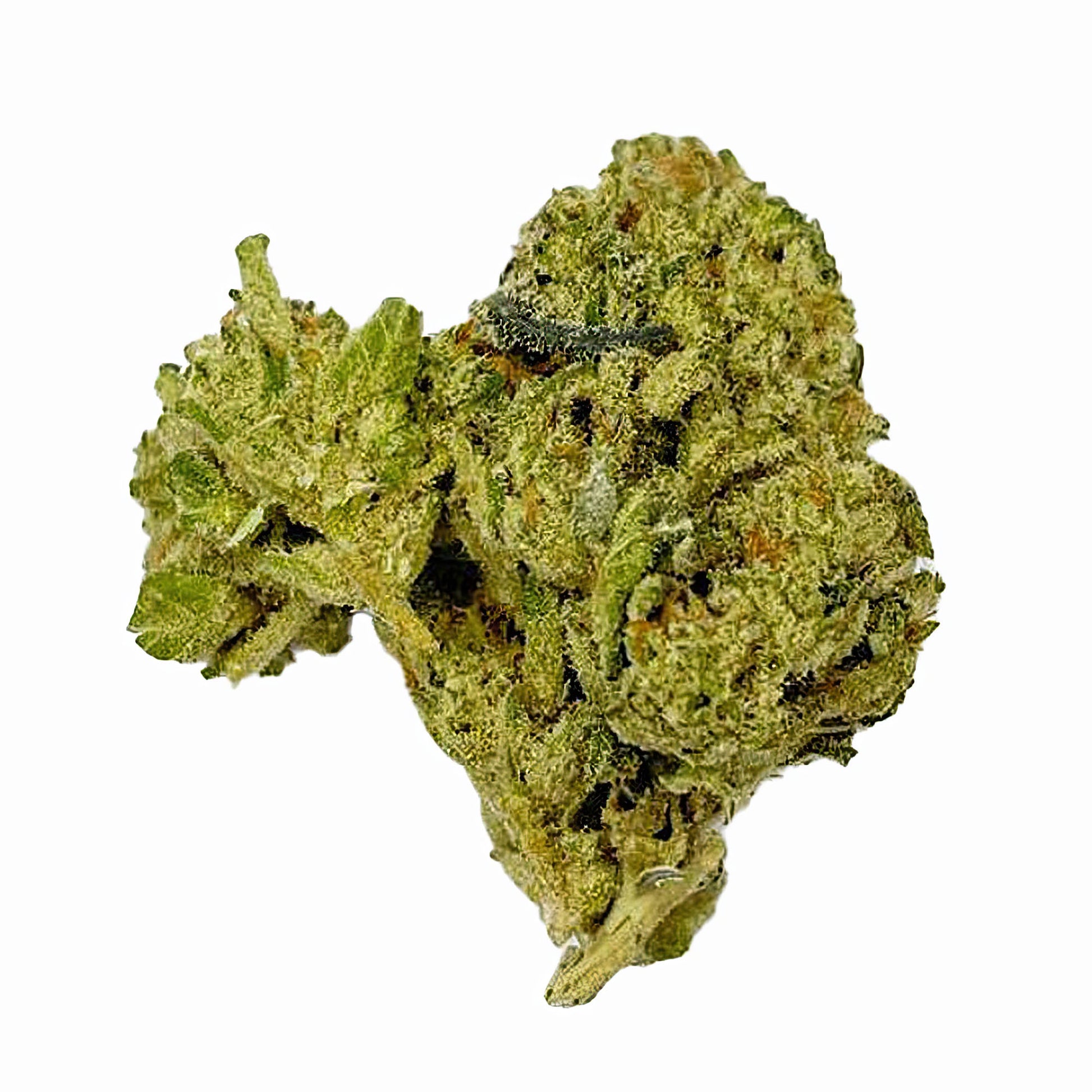 Cereal Milk Flower - Hybrid - THCA