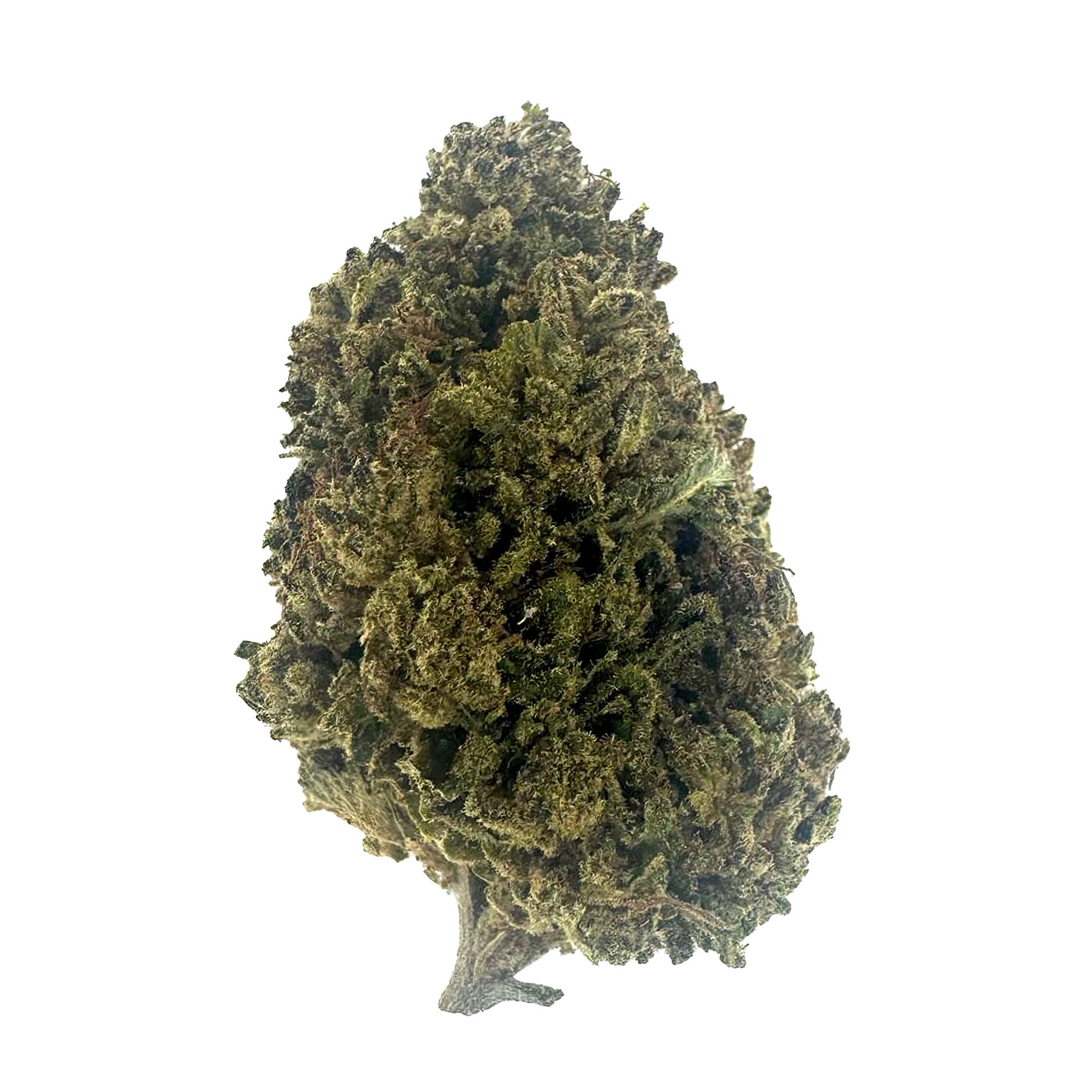 Cotton Candy Flower - Hybrid – THCA