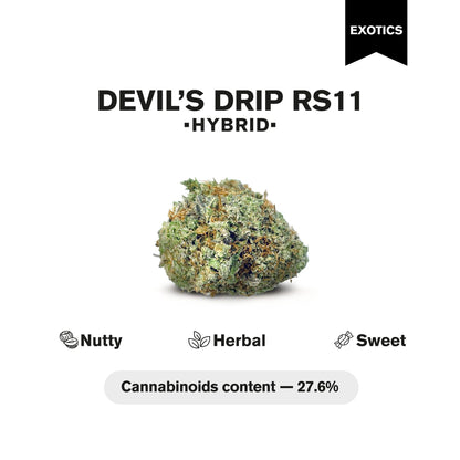 Devil's Drip RS11 Flower - Hybrid - THCA