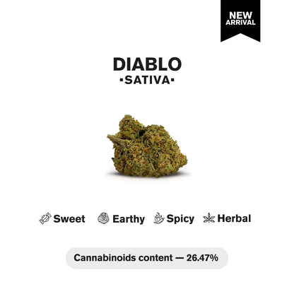 Diablo Flower – Sativa – THCA