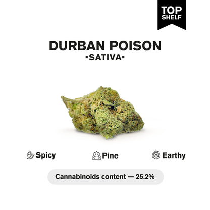 Durban Poison Flower – Sativa – THCA