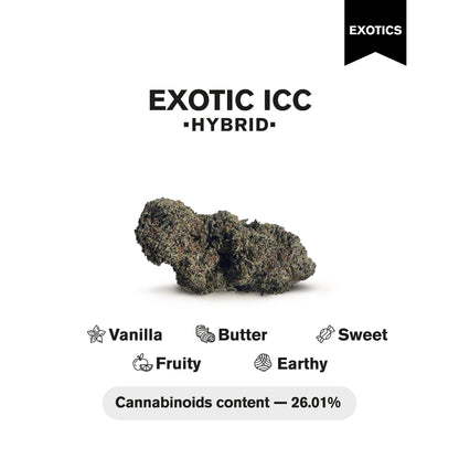 Exotic ICC Flower - THCA - Hybrid