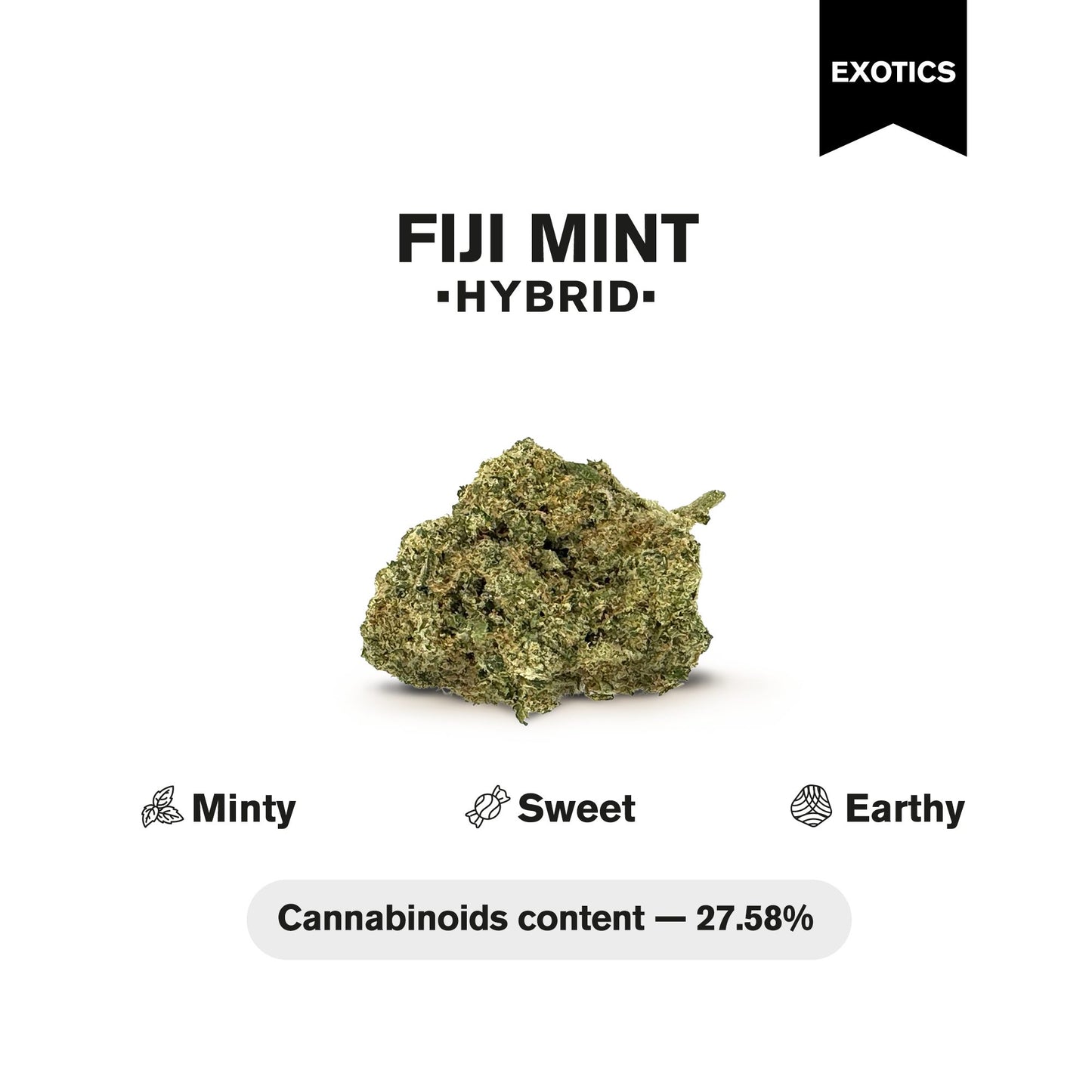 Fiji Mint Flower - Hybrid - THCA