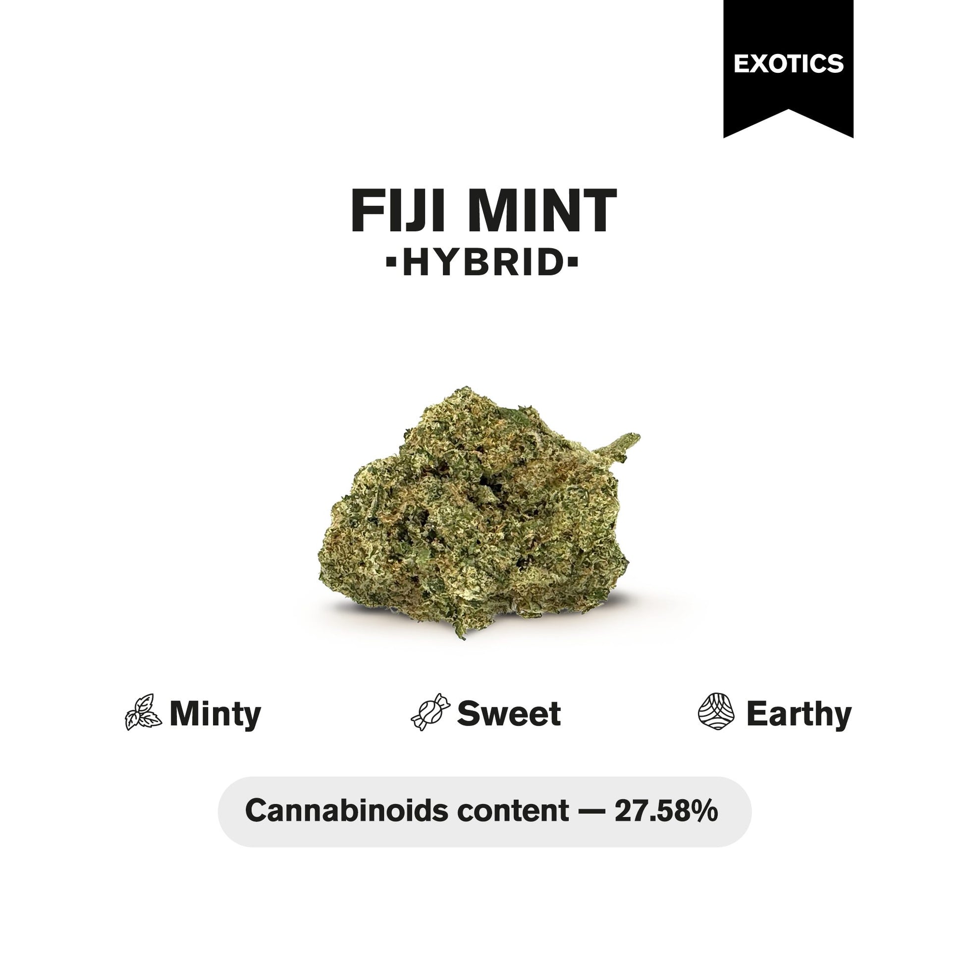 Fiji Mint Flower - Hybrid - THCA