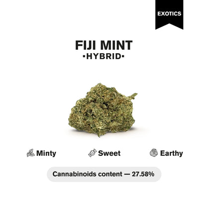 Fiji Mint Flower - Hybrid - THCA