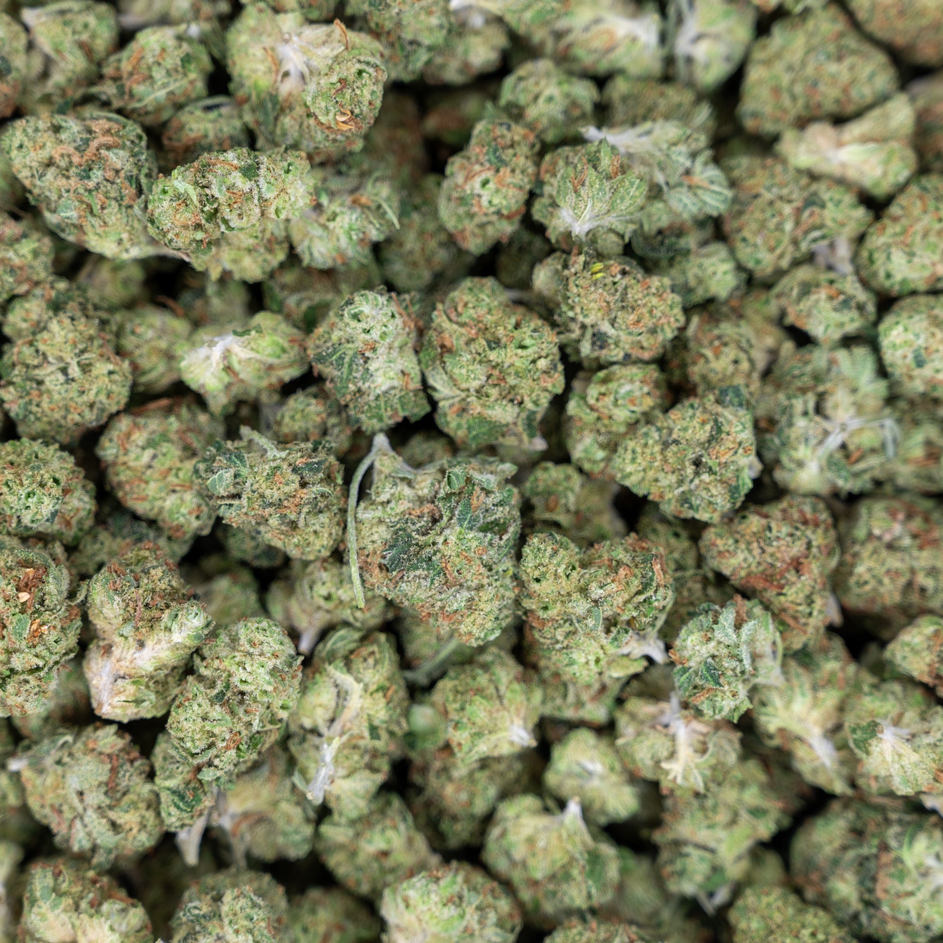 Fire OG Flower - Hybrid - THCA